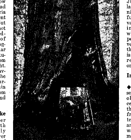 Fichier:Cons 1939-04-05 p24 ill1.png