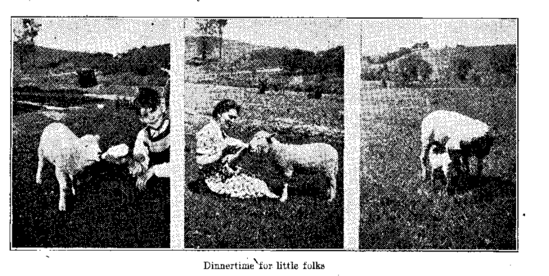 Fichier:Consolation-du-19-octobre-1938-en p16 ill1.png