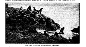 Cons 1939-05-17 p16 ill1.png