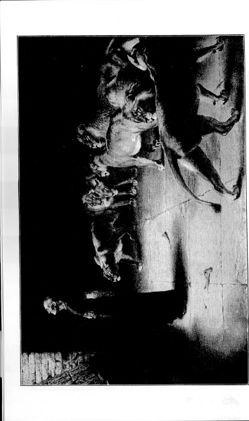 Fichier:Une-grande-bataille-dans-les-cieux-ecclésiastiques-1915-en p03 ill1.png